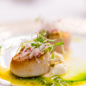 Experience Hibiscus Bar And Terrace Shuck And Sip Thursdays