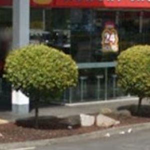 Hungry Jacks Rocklea